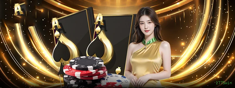 VIP 1775win